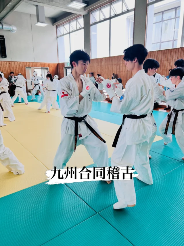 【九州合同稽古】
本日は九州合同稽古。
他支部の仲間と共に切磋琢磨できる貴重な機会です。
一つでも多く吸収し、自分の力に変えていきましょう。

キャンペーン大好評につき若干名追加いたします
ただいま入会キャンペーン中！！
お問い合わせも多く見学や体験も随時募集しています。
☆☆☆☆☆☆☆☆☆☆☆☆☆
【長崎地区】
小菅道場　　　　(火)(土)18:40〜20:40
油木道場　　　　(水)  19:15〜21:00
横尾道場　　　　(金)  19:30〜21:30
矢上道場　　　　(金)  19:20〜21:00

【県北地区】
若竹台道場　　　(月)  19:15〜21:00
佐々道場　　　　(月)(木) 19:15〜21:00
名切道場　　　　(水)  19:15〜21:00
三川内道場　　　(木)  19:15〜21:00
相浦道場 ............(金)  19:00〜21:00

【県央地区】
諫早道場　　　　(月)(木)18:40〜20:40
喜々津道場　　　(水)18:30〜21:00
大村道場　　　　(水)19:00〜20:30

【島原地区】
島原道場　　　　(月)19:00〜21:00
深江道場 ............(火)(金)20:00〜21:30

見学や体験お待ちしております。
 #長崎 #新極真会 #空手#長崎空手#佐世保